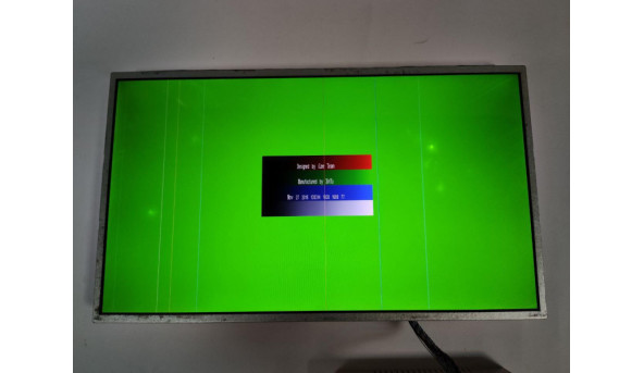Матриця HannStar, HSD173PUW1-A00, 17.3" WideScreen, FHD 1920x1080, б/в, Є полоси та засвіти - 312901