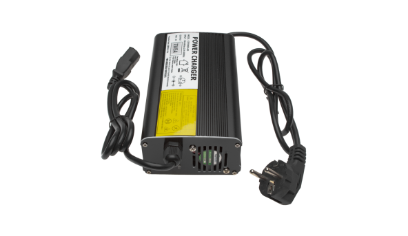 Зарядний пристрій для акумуляторів LiFePO4 60V (73V)-5A-300W - 580335