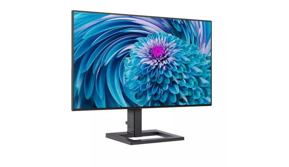 TFT 23.8" Philips 241E2FD, IPS, 1ms, D-Sub, HDMI, DVI-D, чорний - 594019