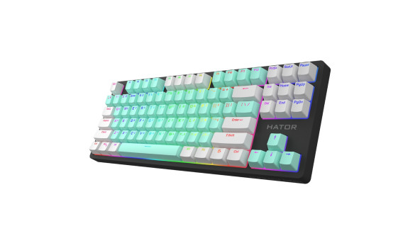 Клавіатура Hator Rockfall 2 Mecha TKL Signature Edition - 625795
