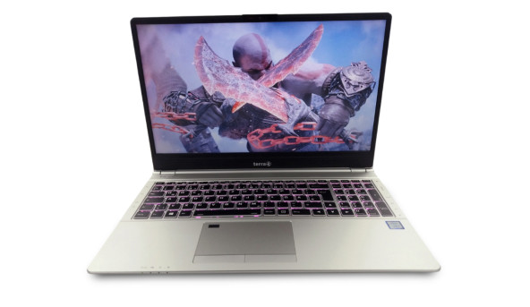 Ноутбук Terra 1550 Intel Core I7-8565U 16 GB RAM 256 GB SSD 500 GB HDD [15.6" FullHD] - Б/В - 631288