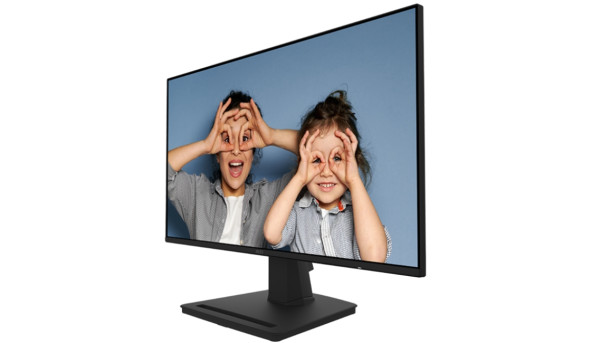 TFT 24.5" MSI PRO MP252 FHD IPS 1ms 100Hz 178/178 /DP/HDMI /колонки 2*2W - 633936