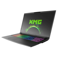 Ігровий ноутбук Schenker XMG Core 17 Core i7-9750H 16 RAM 512 SSD GeForce GTX 1660 Ti [IPS 17.3" FullHD] - Б/В