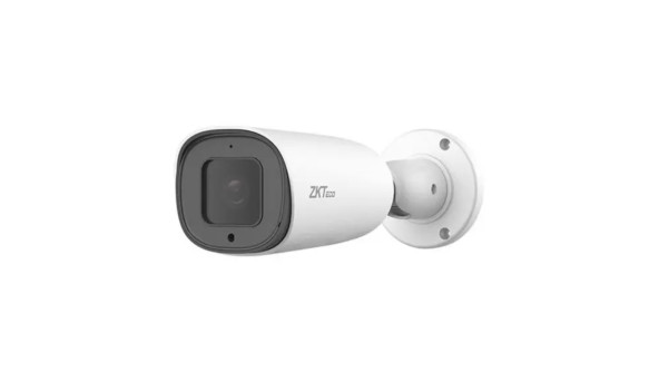 IP-відеокамера ZKTeco BL-855P48S White