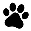 mono_pay